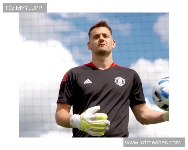 汤姆希顿赞拉门斯基本功卓越冷静性格坚韧展现出色潜力