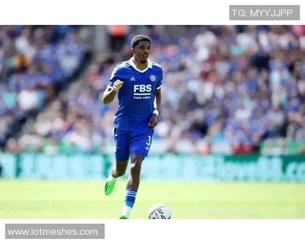 蓝军外租前锋福法纳因无证无保险驾驶被罚款12万引发关注