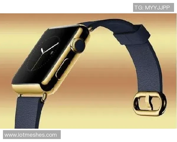 Netflix计划竞购欧冠全球转播权年收入或超50亿引发关注