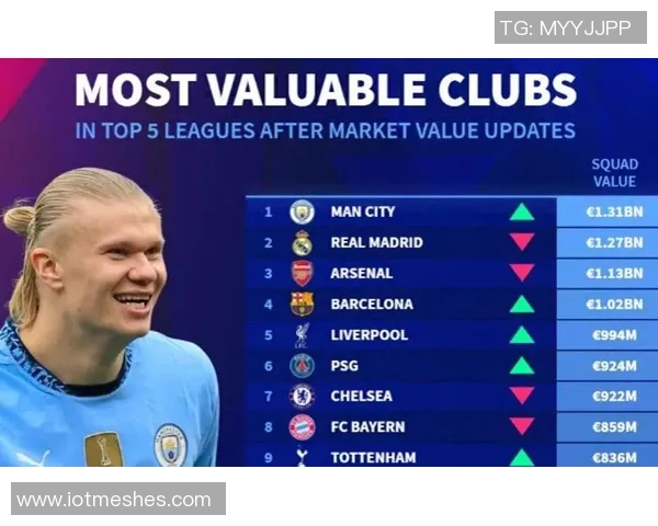 今年五大联赛球队身价跌幅分析药厂领衔曼联米兰紧随其后 今年五大联赛球队身价跌幅分析药厂领衔曼联米兰紧随其后