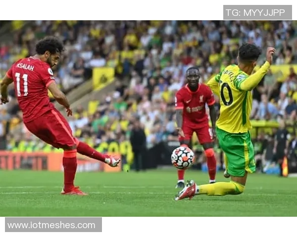 比尔复出状态仍需调整8投仅3中贡献9分1板2助助力球队