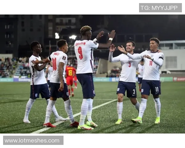 欧洲世预赛最佳球员候选名单揭晓帕洛特内维斯多库威尔逊争夺荣誉 欧洲世预赛最佳球员候选名单揭晓帕洛特内维斯多库威尔逊争夺荣誉