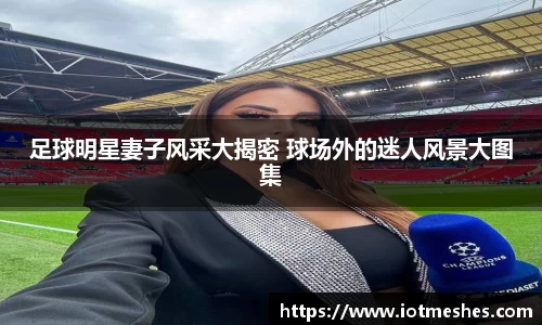 必威BETWAY西汉姆联
