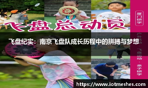 飞盘纪实：南京飞盘队成长历程中的拼搏与梦想